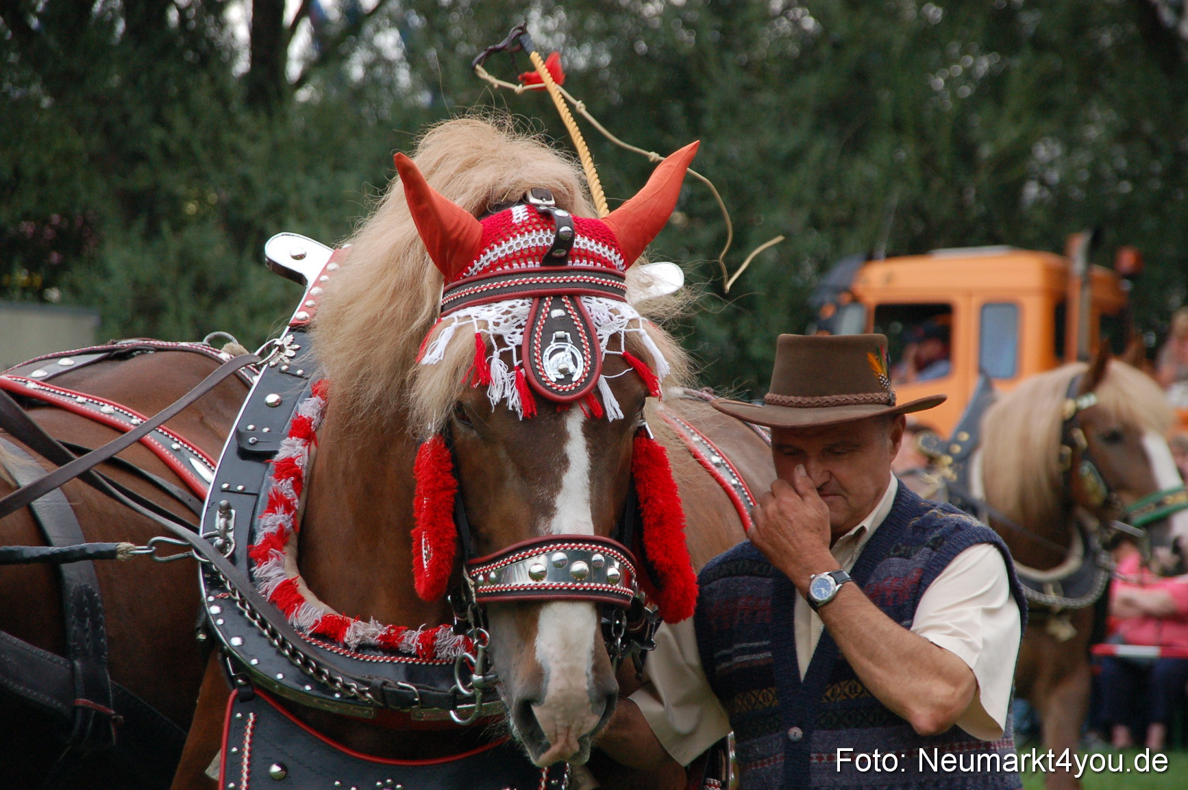 0205 Pferde Fohlenschau 200807