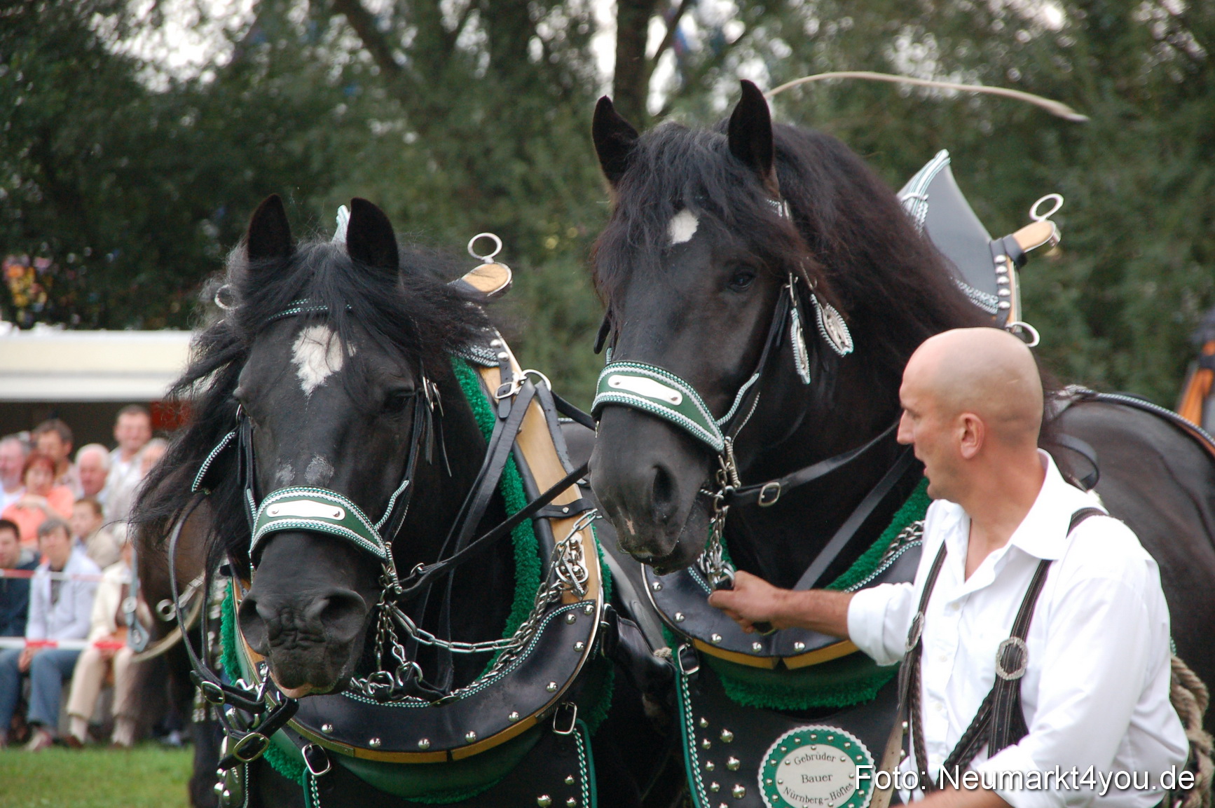 0206 Pferde Fohlenschau 200807