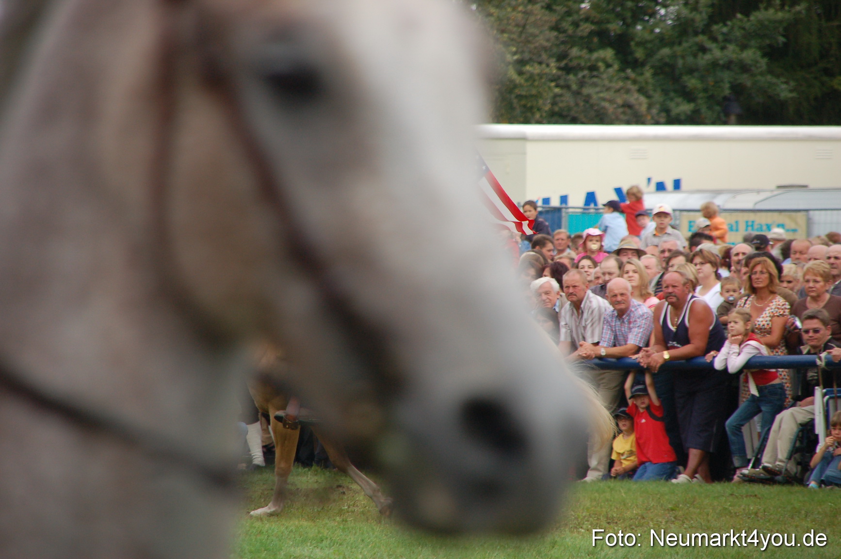 0230 Pferde Fohlenschau 200807