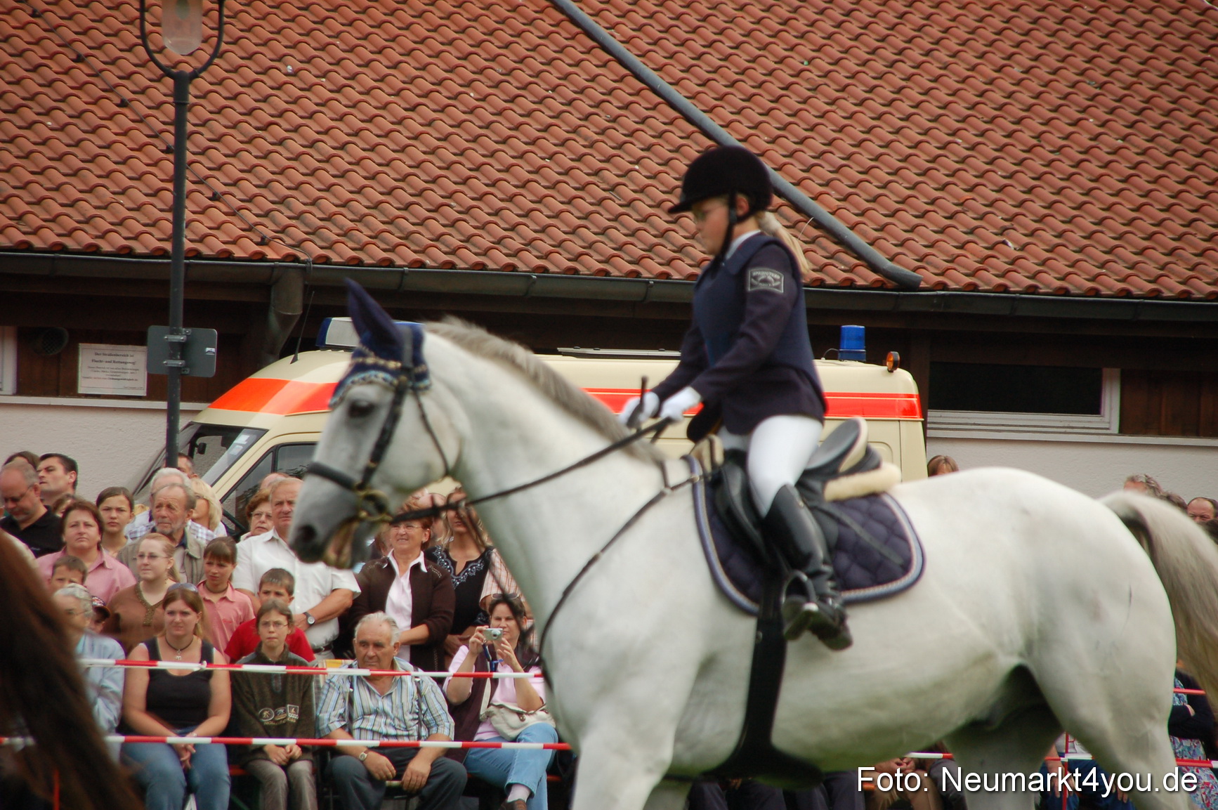 0256 Pferde Fohlenschau 200807