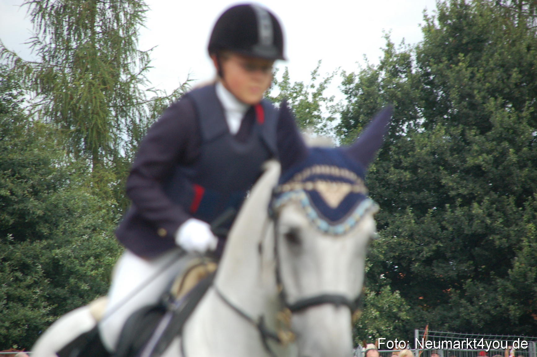 0258 Pferde Fohlenschau 200807