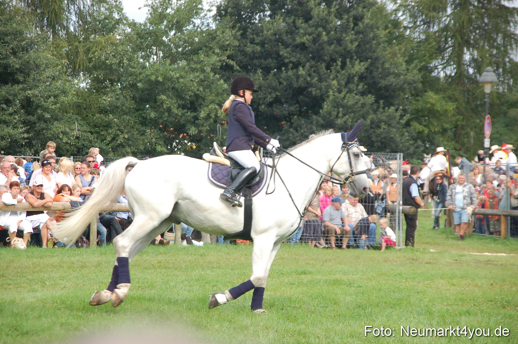 0260 Pferde Fohlenschau 200807