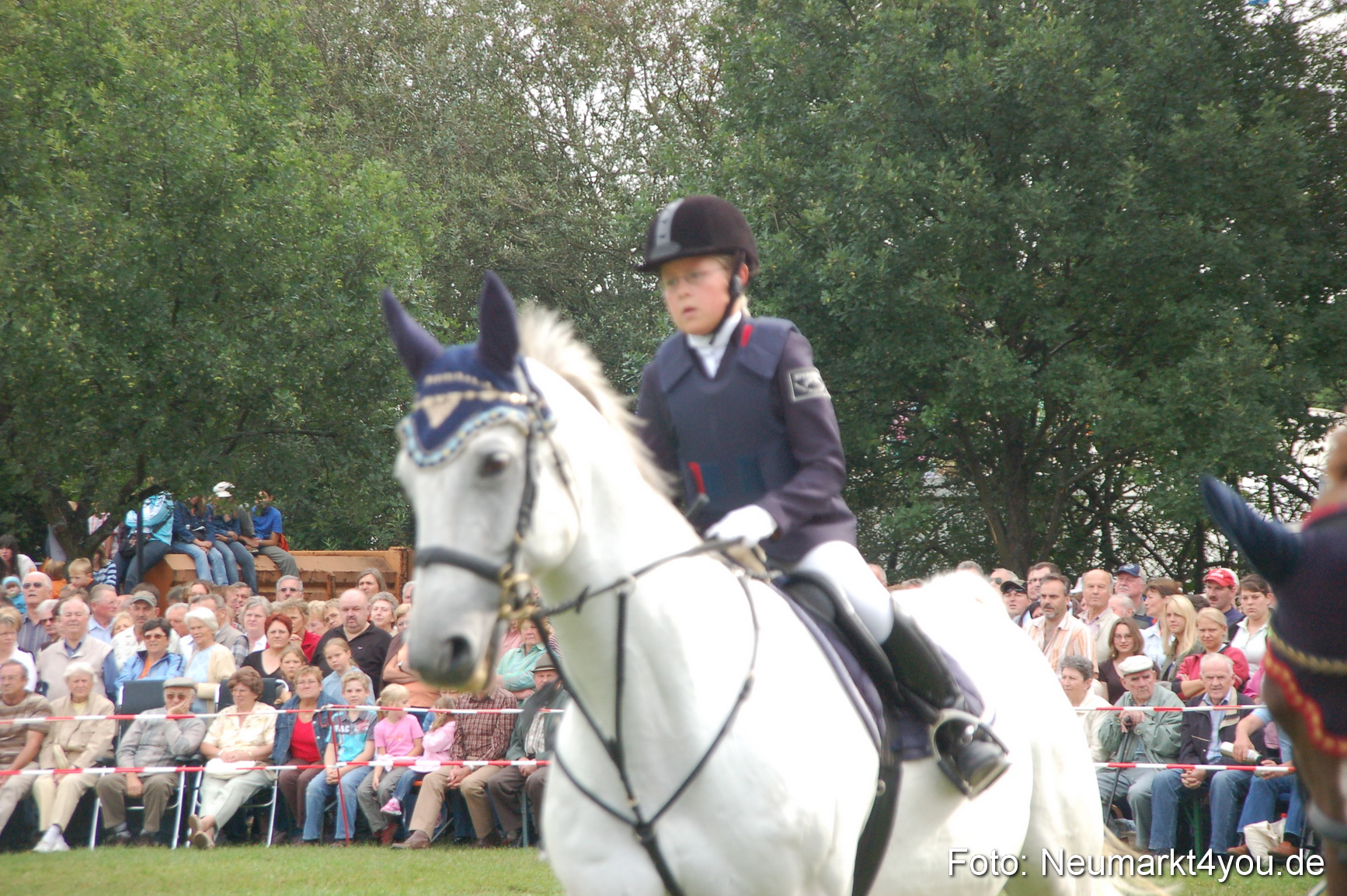 0261 Pferde Fohlenschau 200807