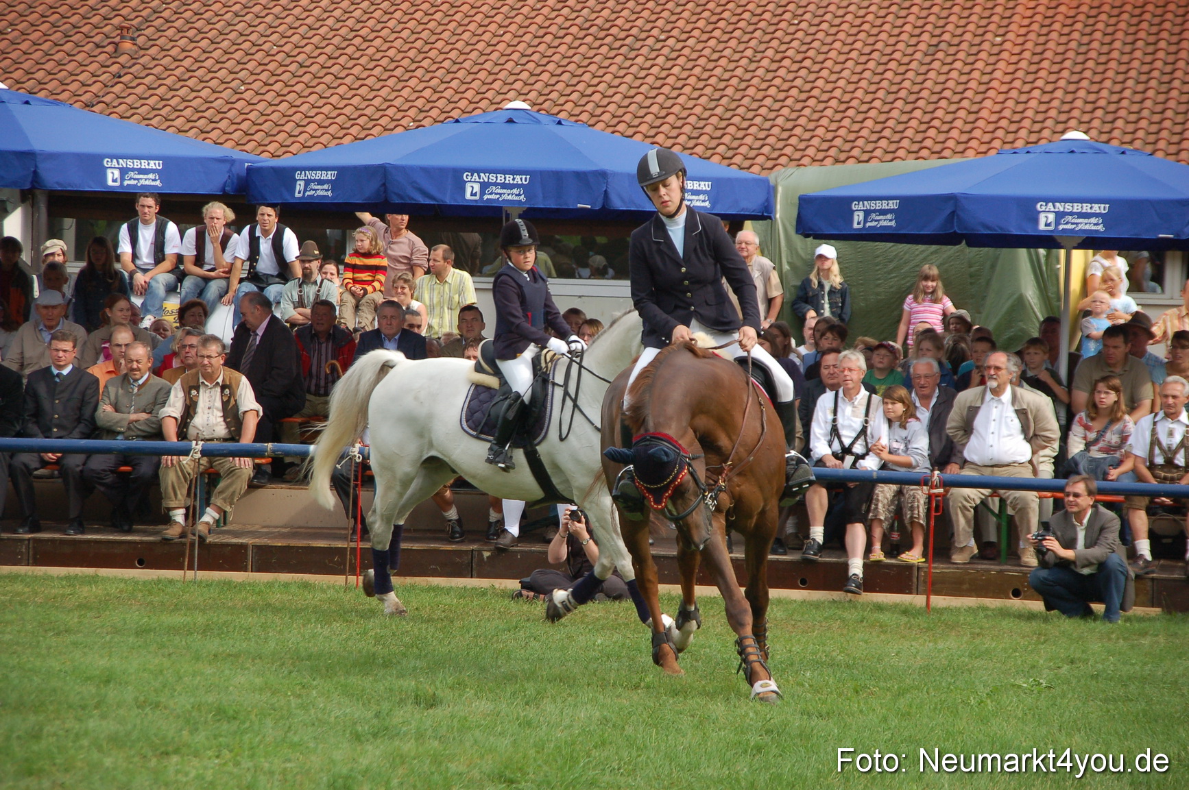 0262 Pferde Fohlenschau 200807