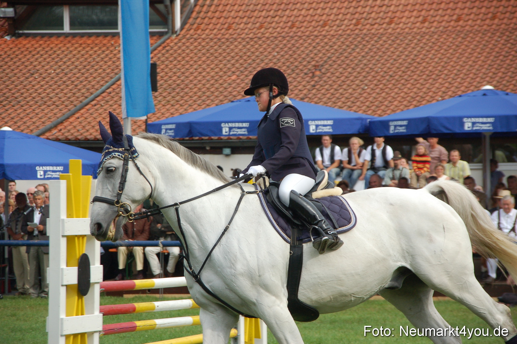 0263 Pferde Fohlenschau 200807