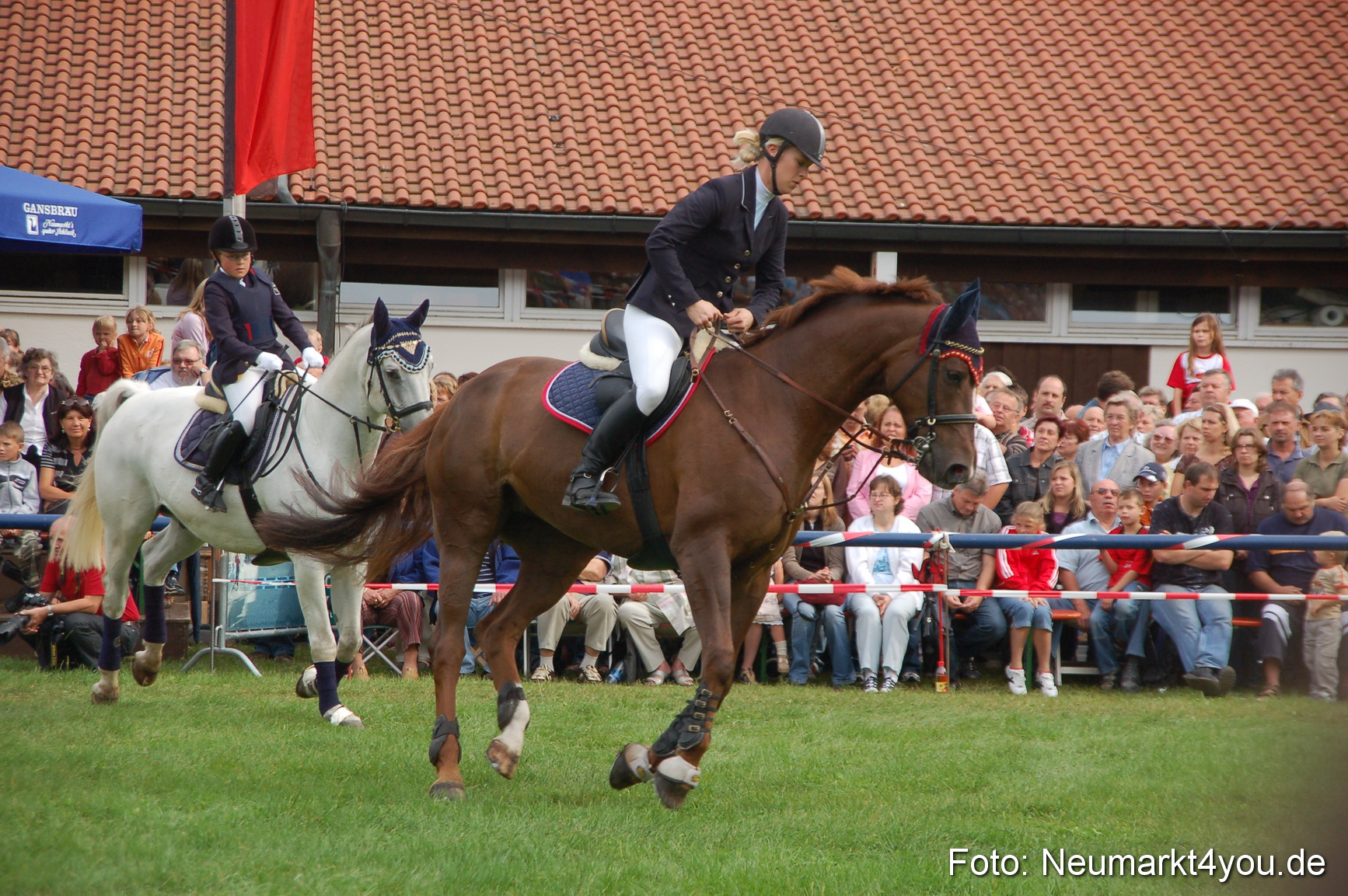 0264 Pferde Fohlenschau 200807