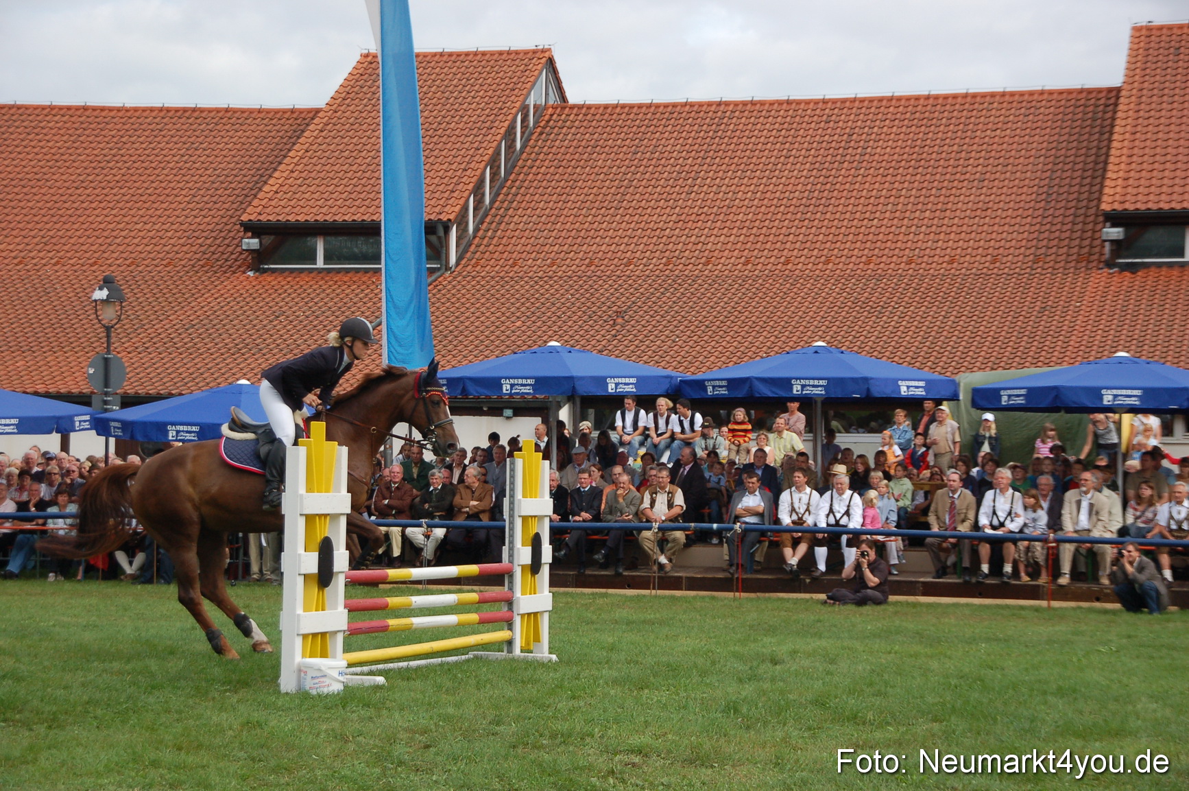 0267 Pferde Fohlenschau 200807