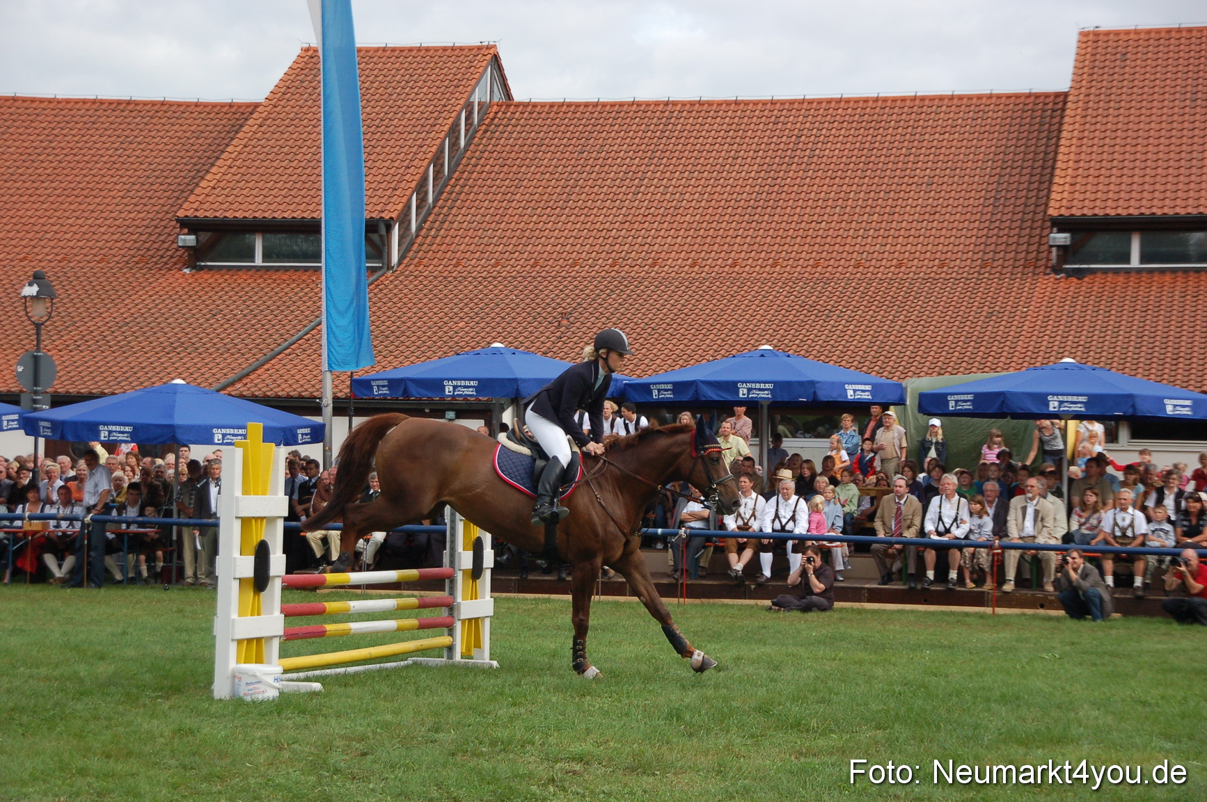 0268 Pferde Fohlenschau 200807