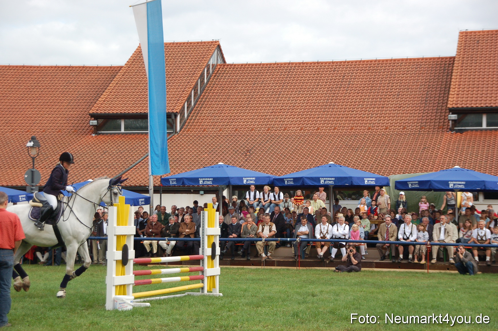 0269 Pferde Fohlenschau 200807