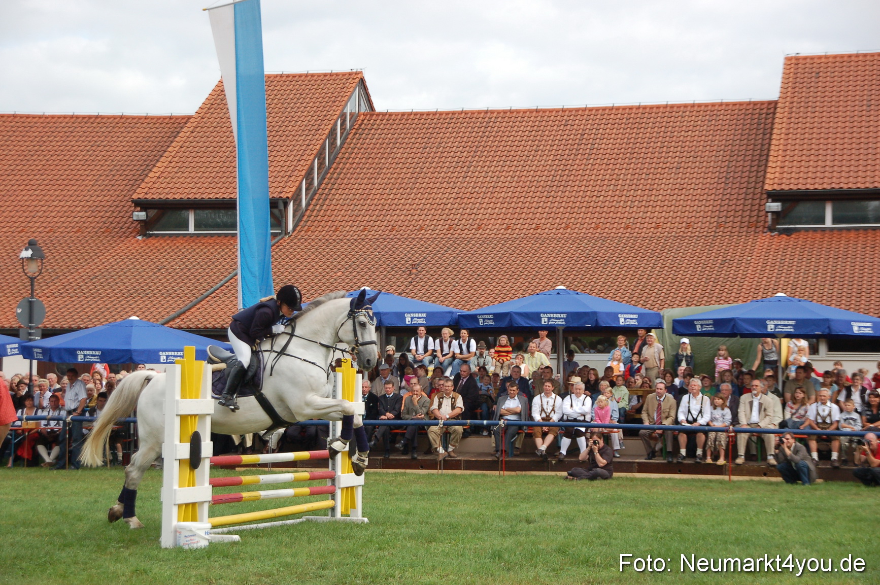 0270 Pferde Fohlenschau 200807