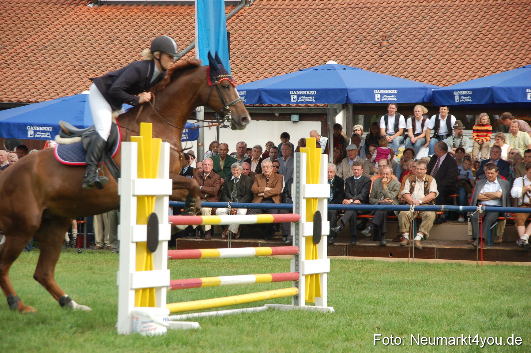 0273 Pferde Fohlenschau 200807