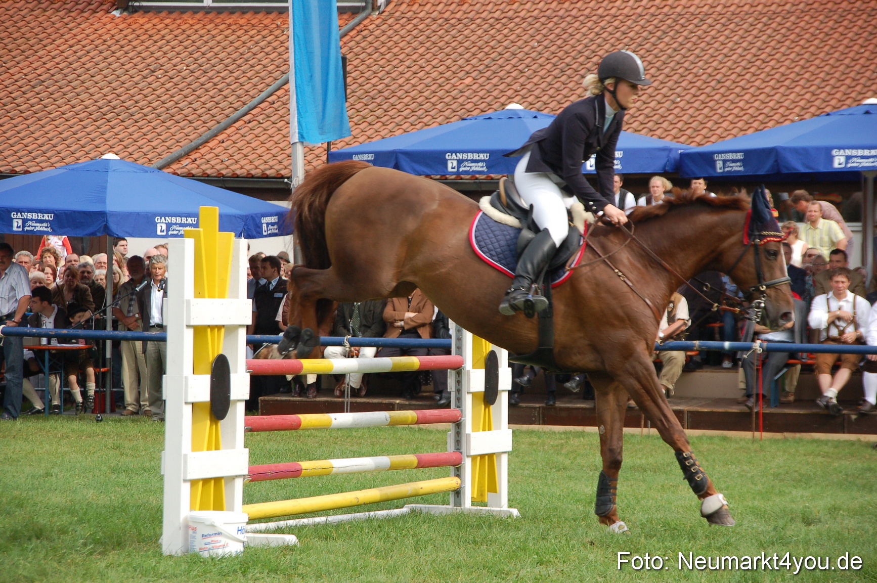 0274 Pferde Fohlenschau 200807