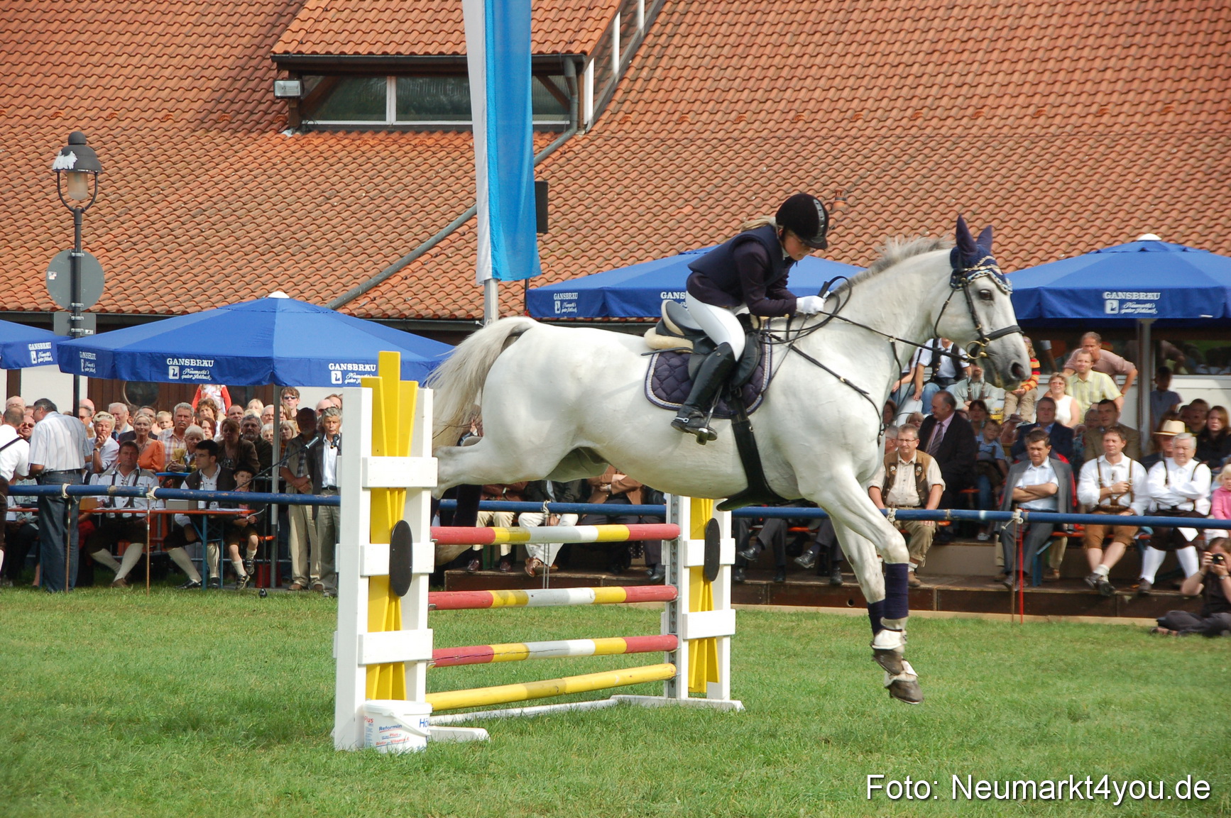 0276 Pferde Fohlenschau 200807