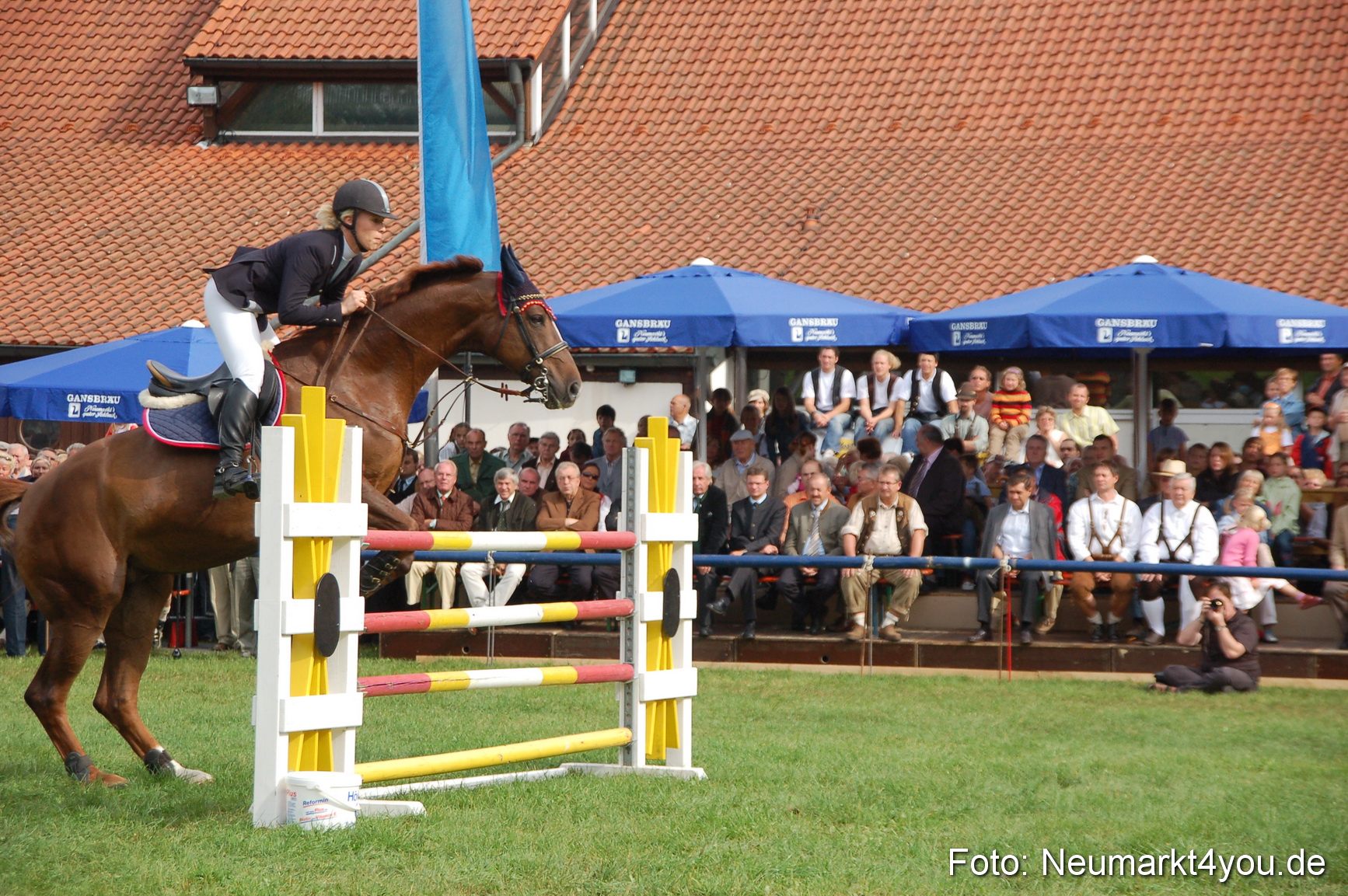 0277 Pferde Fohlenschau 200807