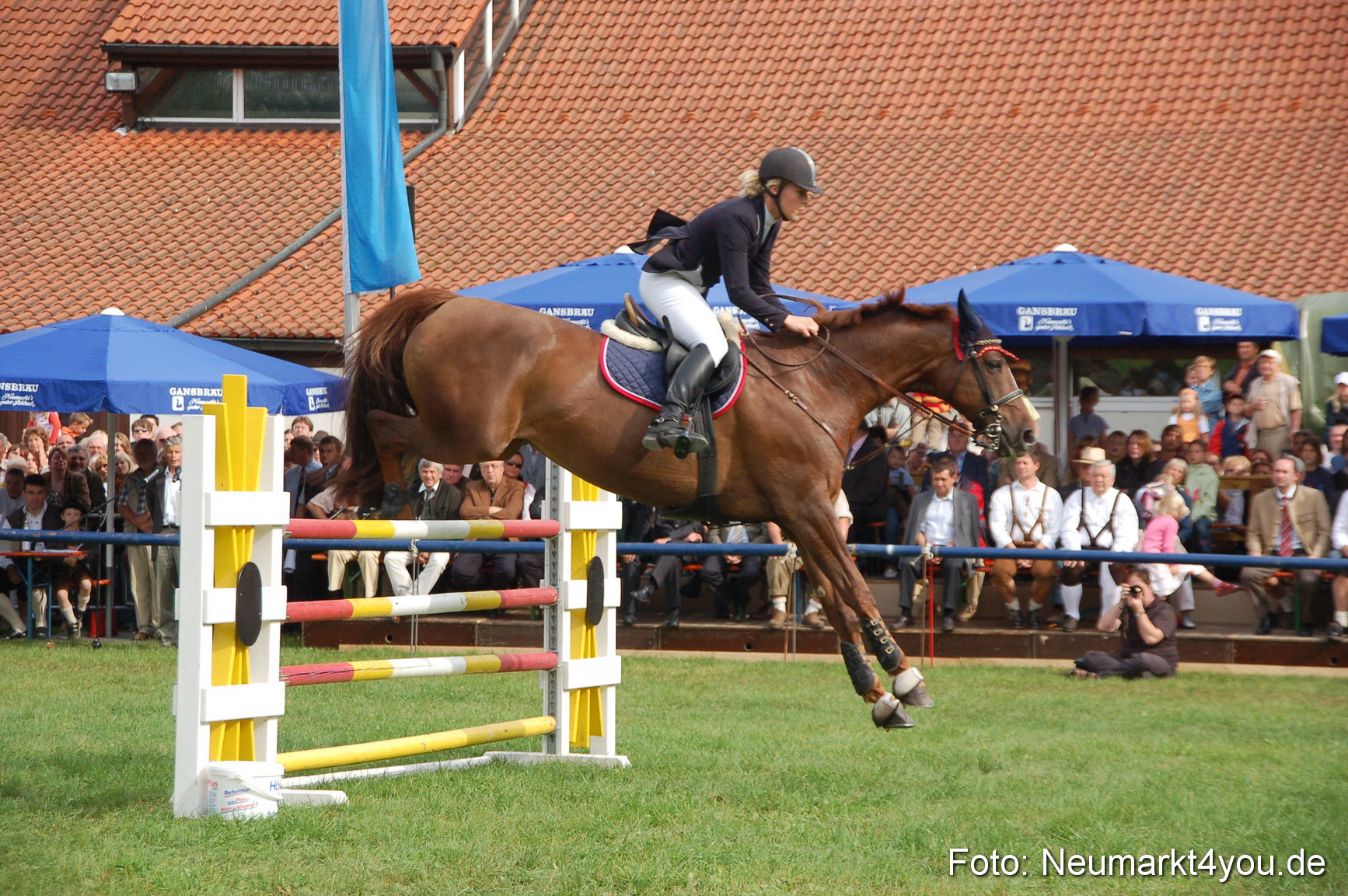 0278 Pferde Fohlenschau 200807