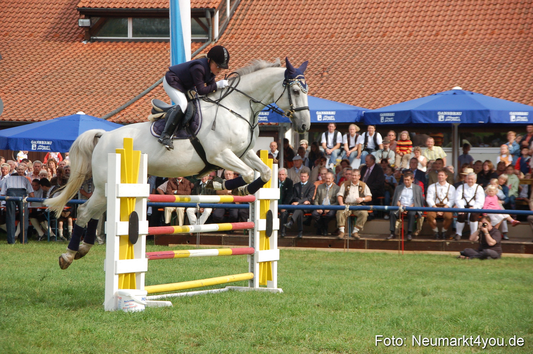 0279 Pferde Fohlenschau 200807