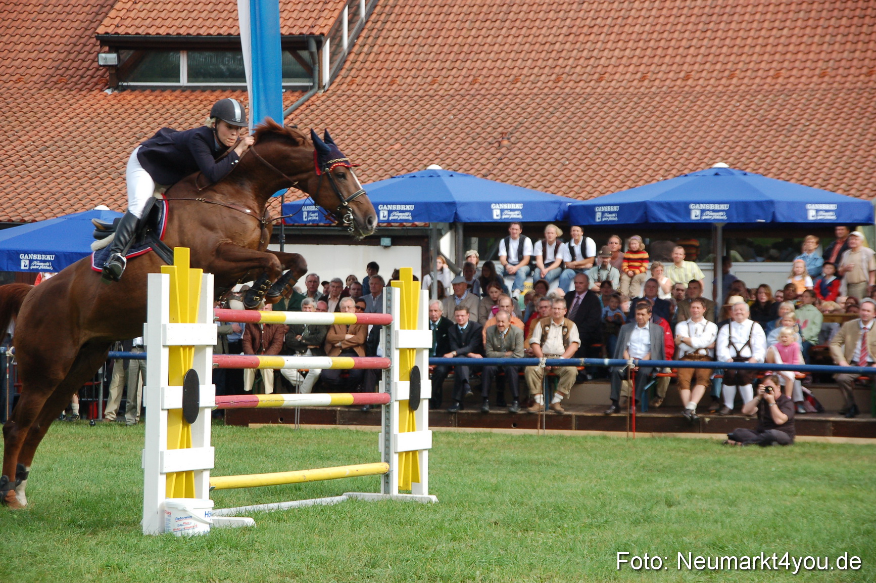 0280 Pferde Fohlenschau 200807