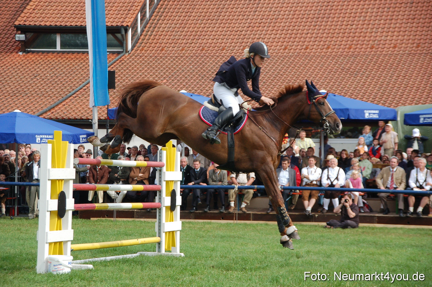 0281 Pferde Fohlenschau 200807