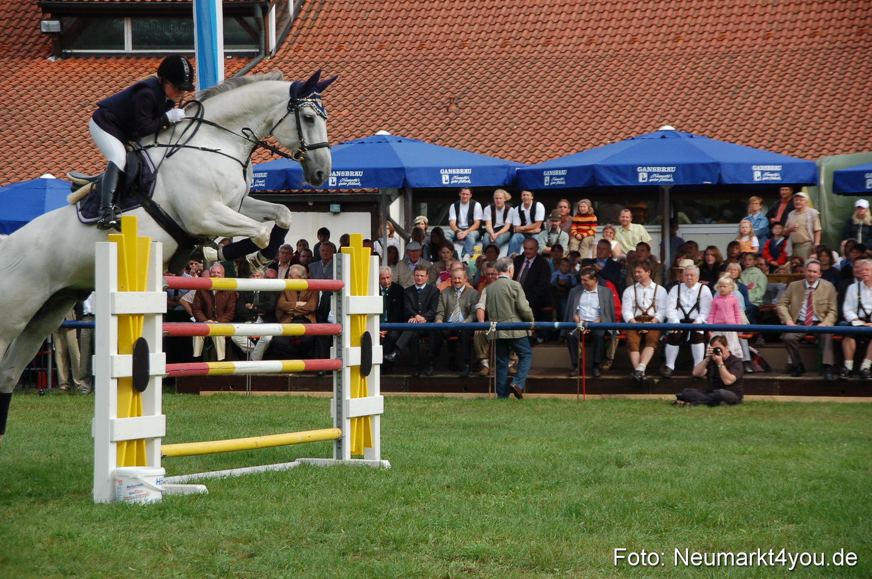 0282 Pferde Fohlenschau 200807