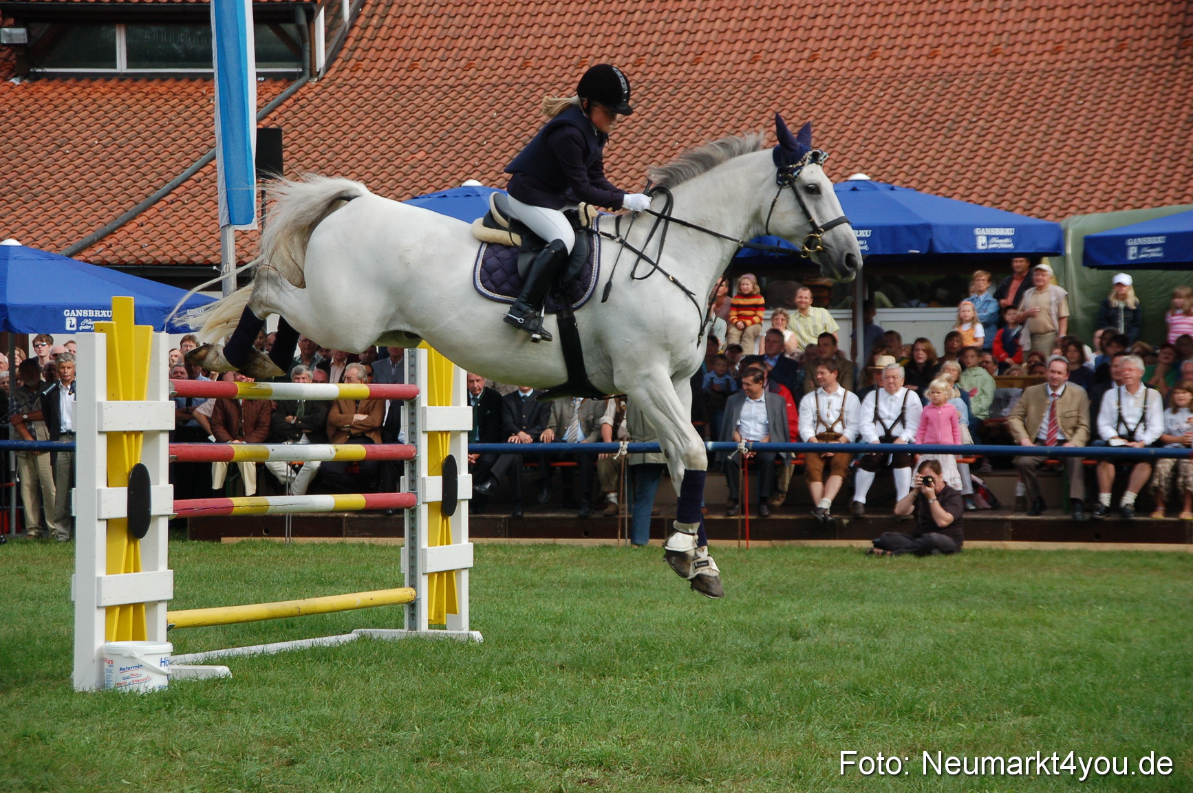 0283 Pferde Fohlenschau 200807