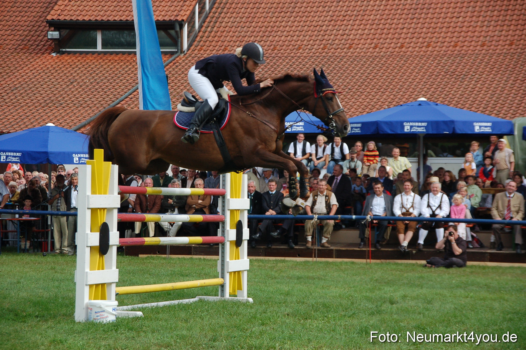 0284 Pferde Fohlenschau 200807