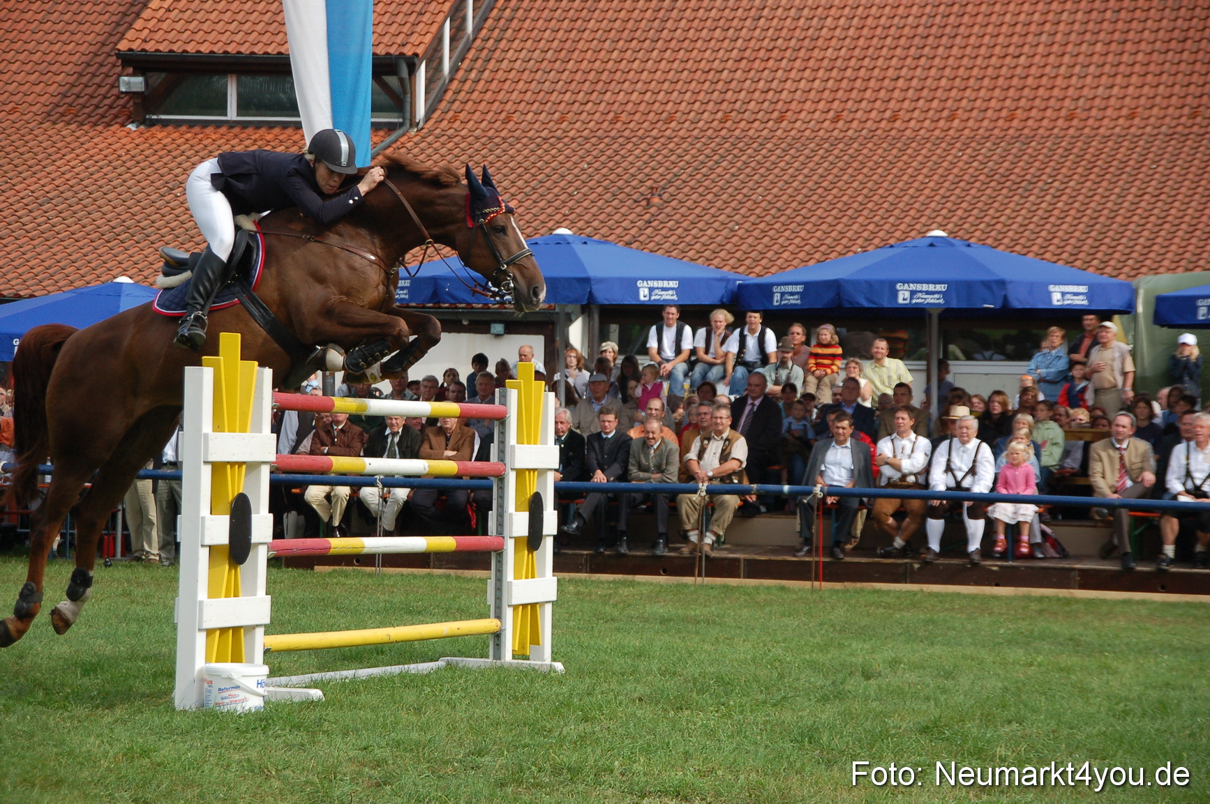 0286 Pferde Fohlenschau 200807