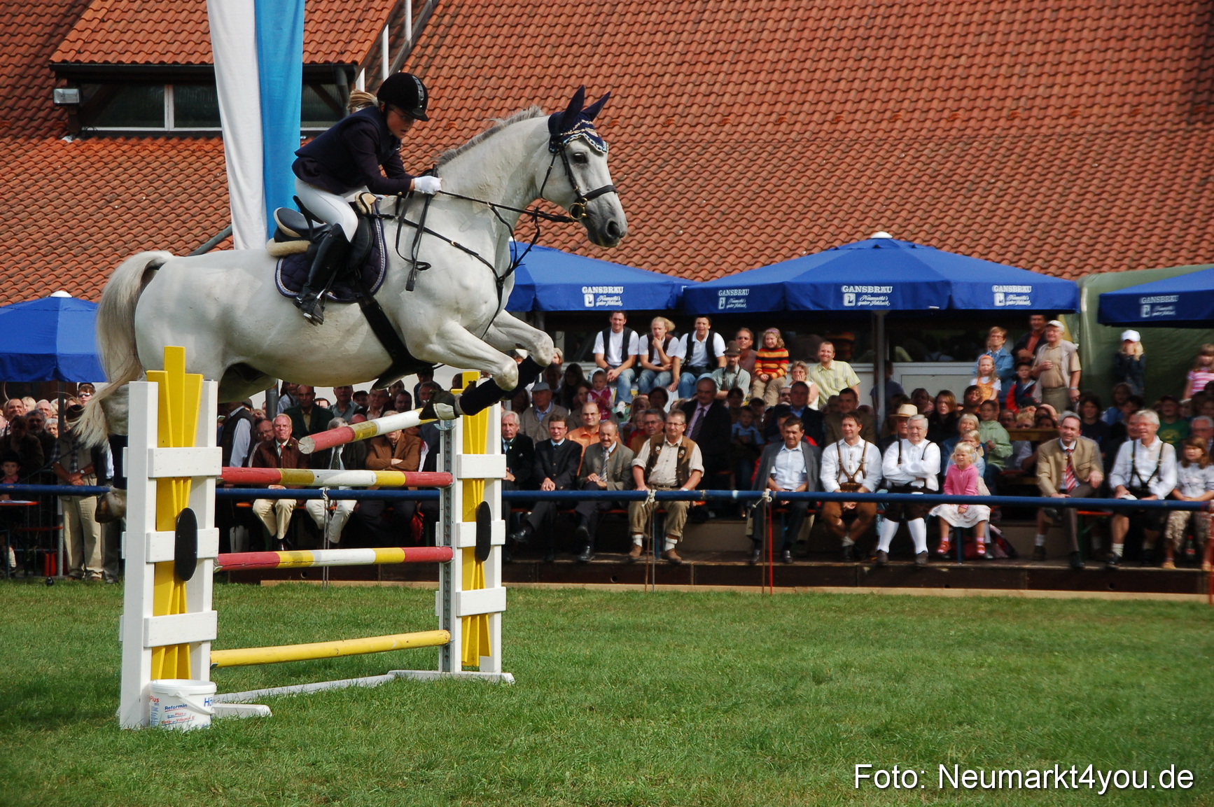 0288 Pferde Fohlenschau 200807