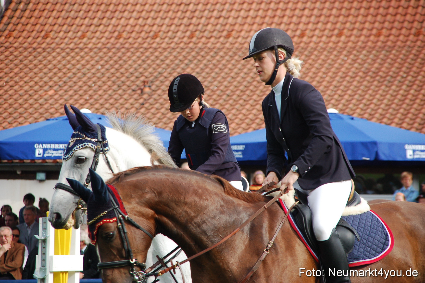 0289 Pferde Fohlenschau 200807