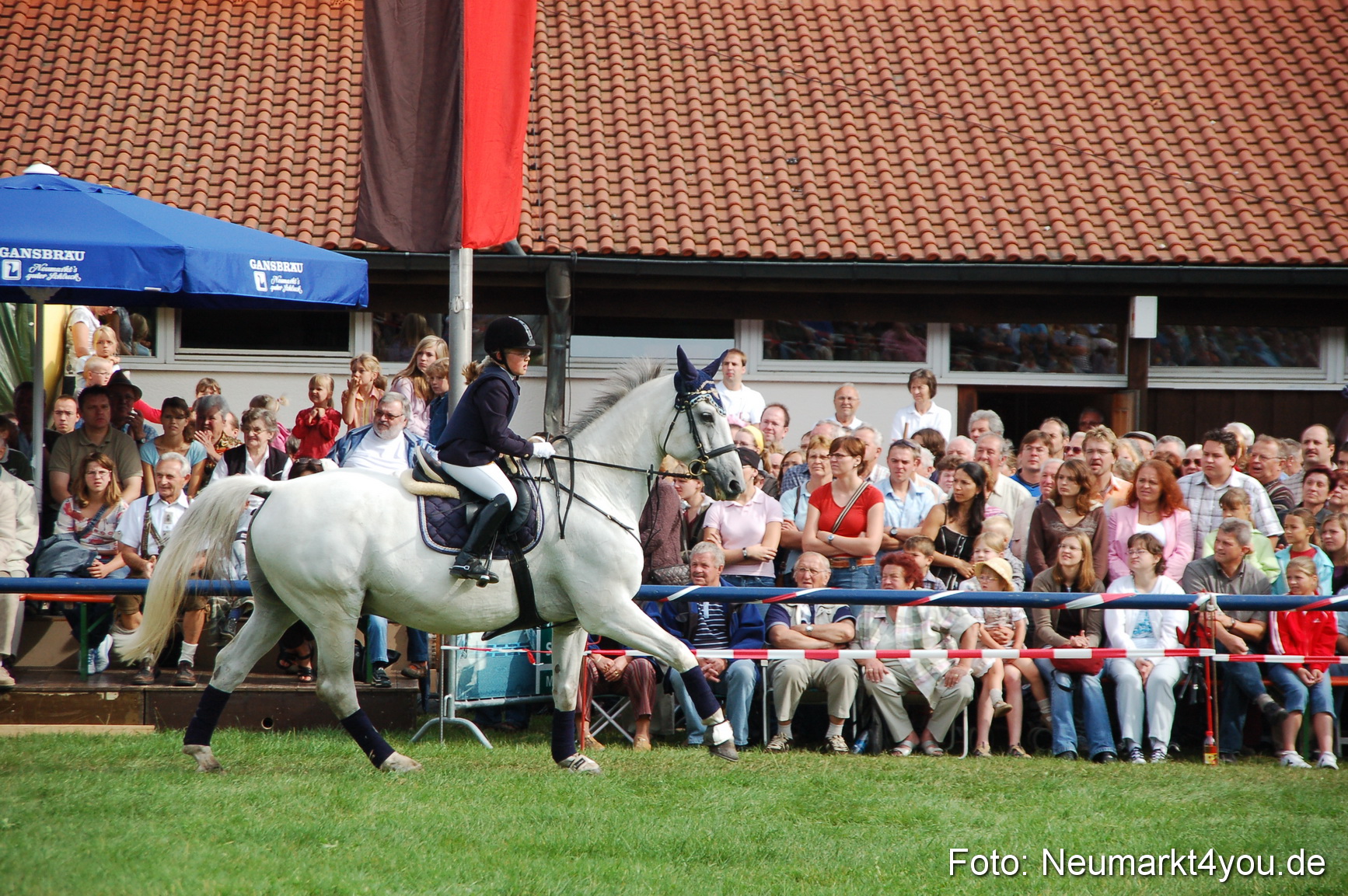 0290 Pferde Fohlenschau 200807