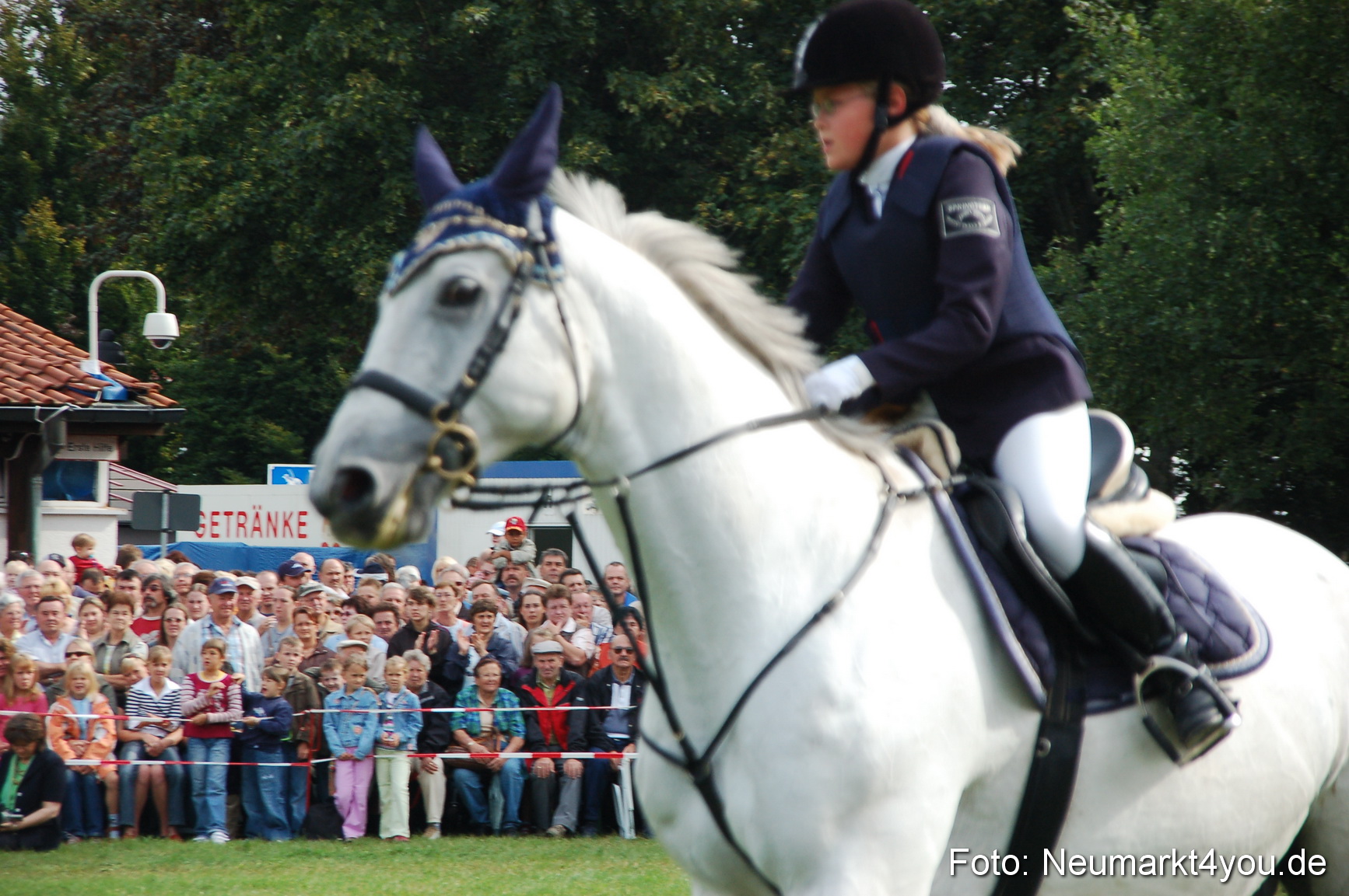 0291 Pferde Fohlenschau 200807