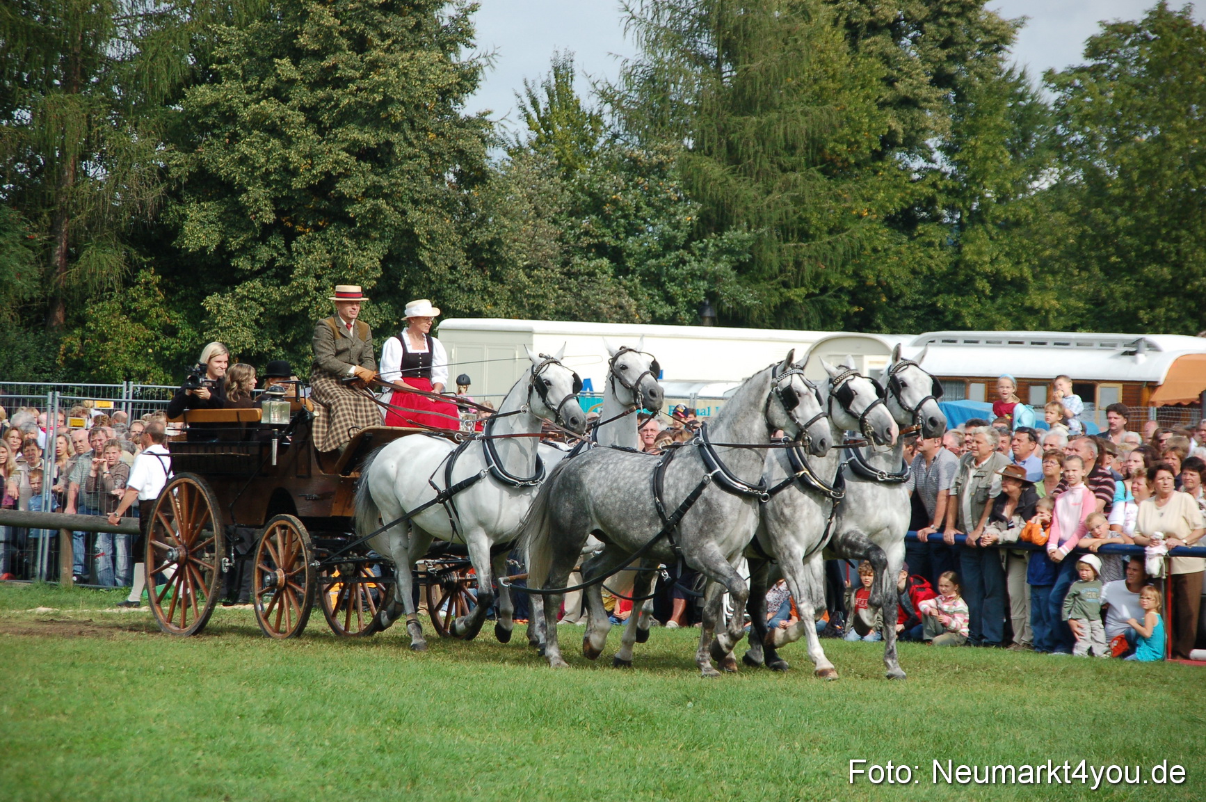 0292 Pferde Fohlenschau 200807