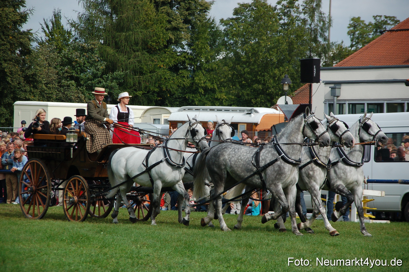 0293 Pferde Fohlenschau 200807