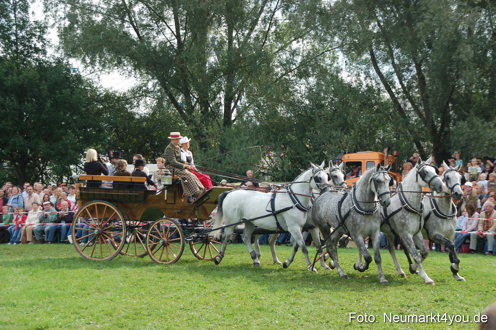 0294 Pferde Fohlenschau 200807