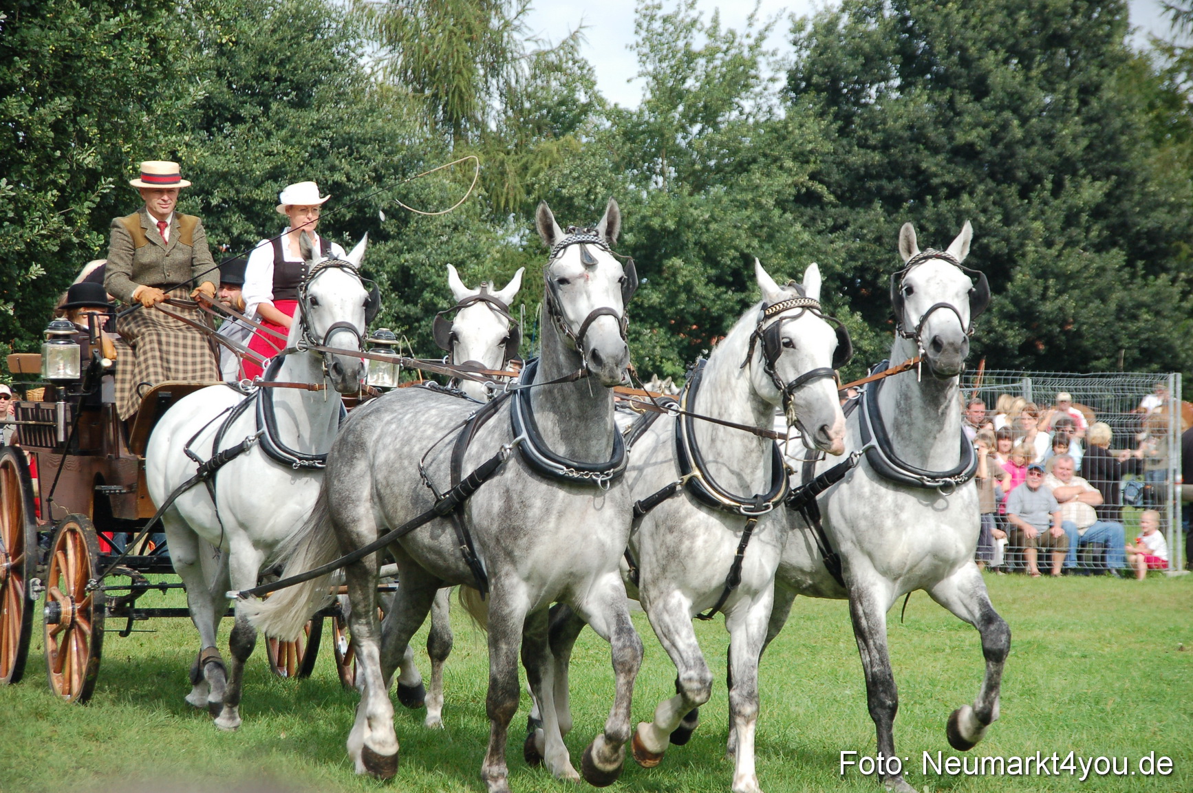 0296 Pferde Fohlenschau 200807
