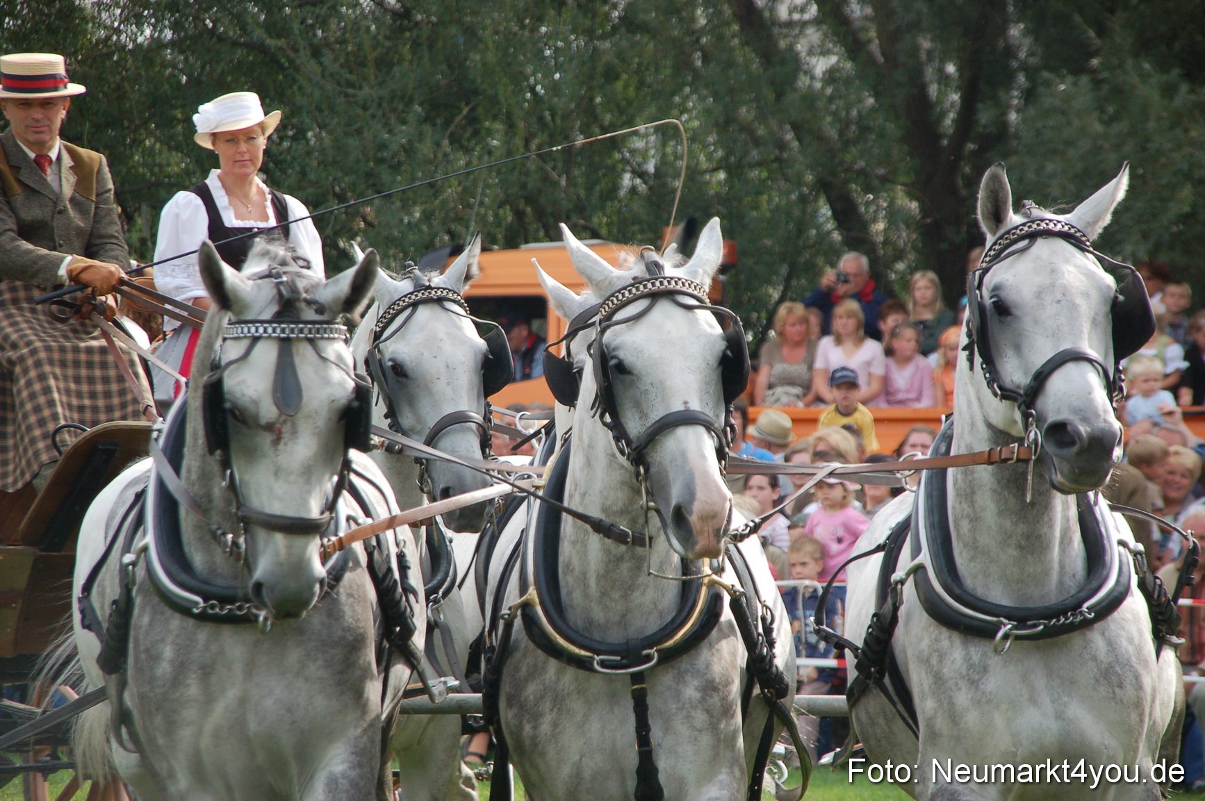 0298 Pferde Fohlenschau 200807
