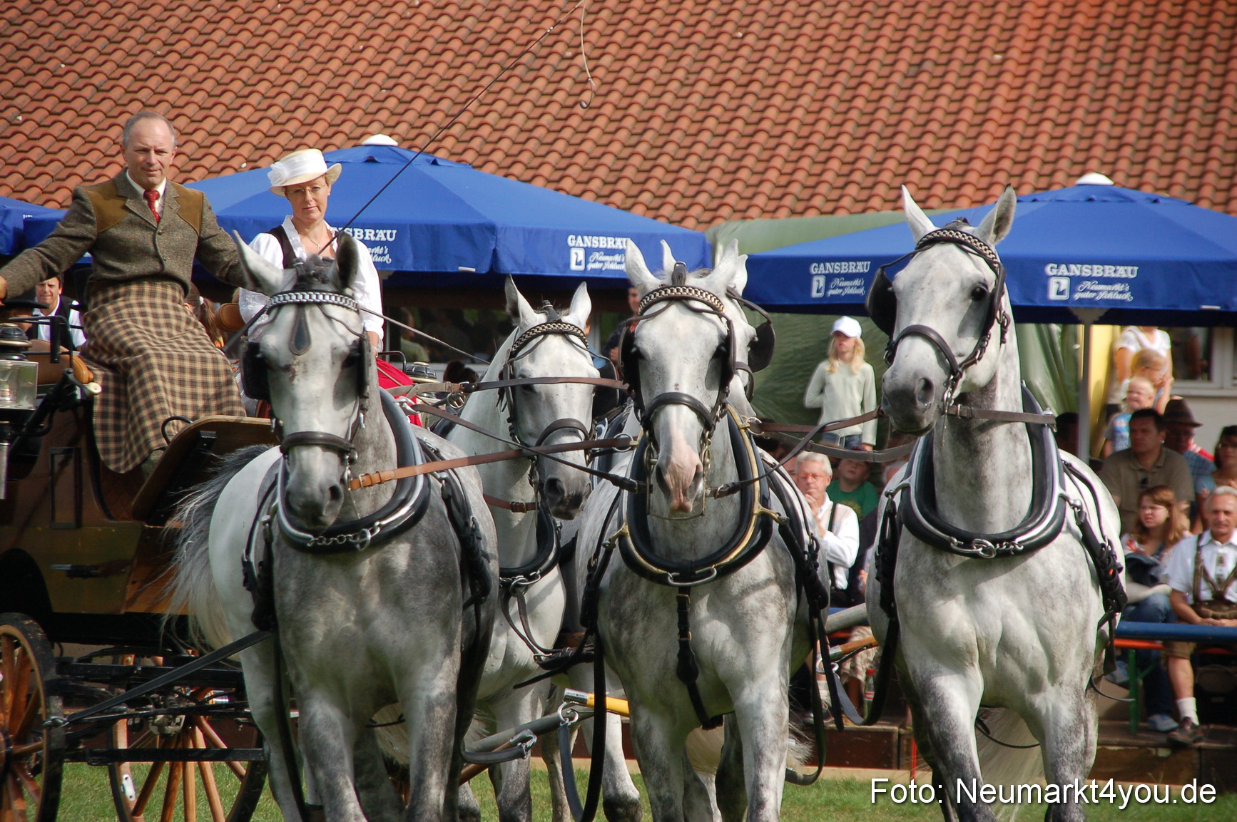 0299 Pferde Fohlenschau 200807
