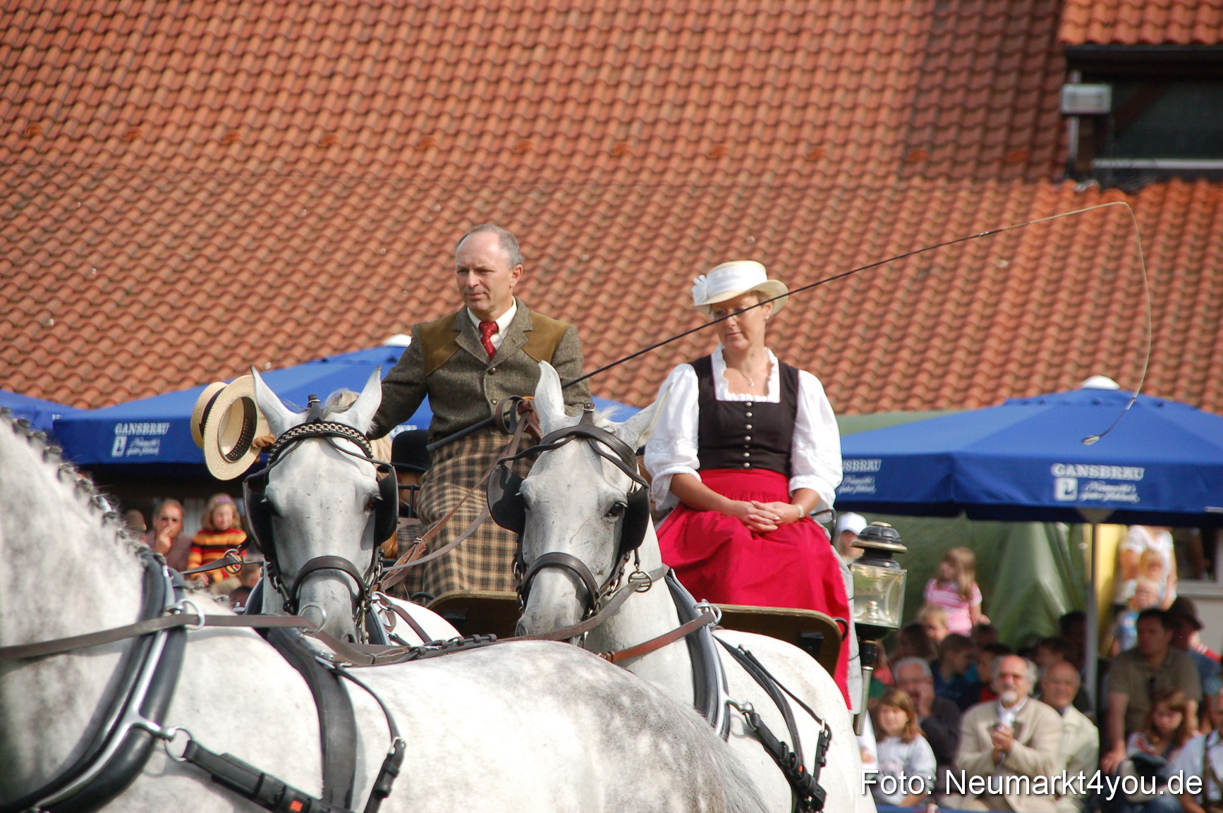 0300 Pferde Fohlenschau 200807