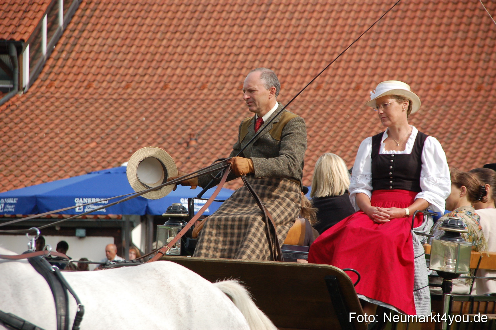 0301 Pferde Fohlenschau 200807