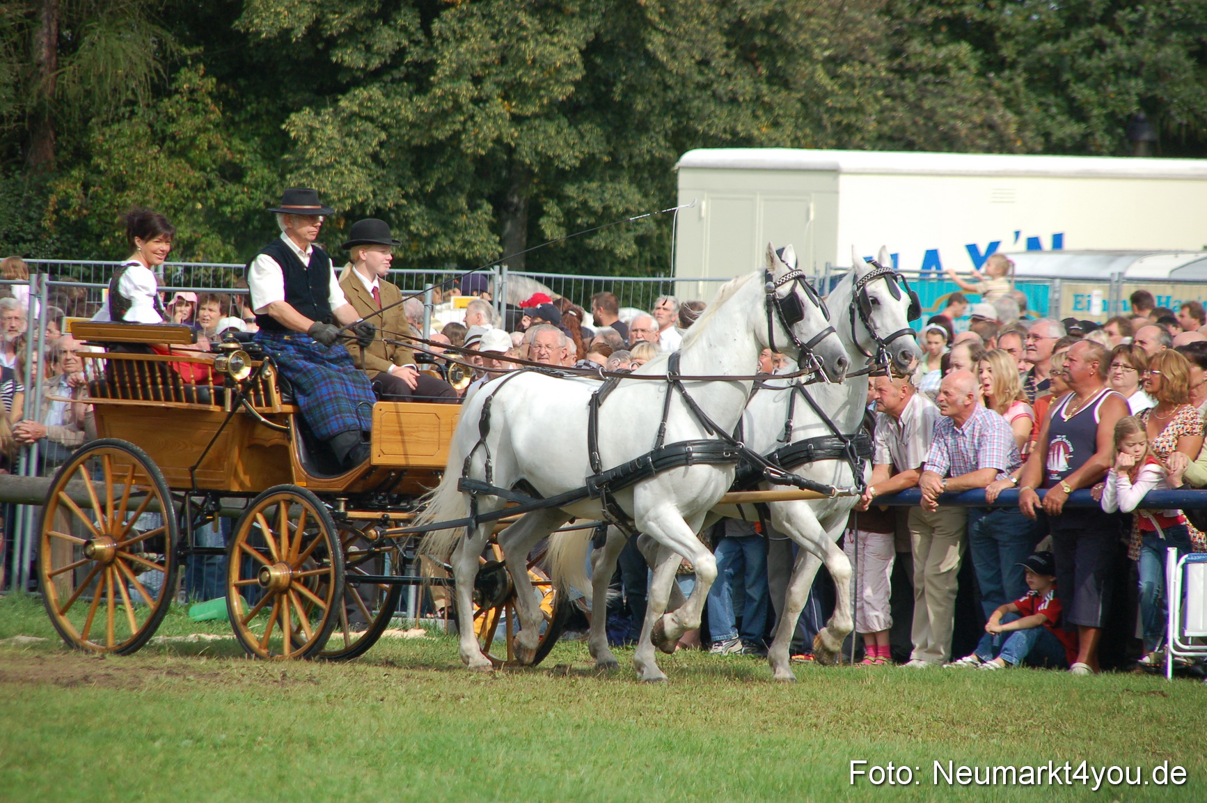 0310 Pferde Fohlenschau 200807