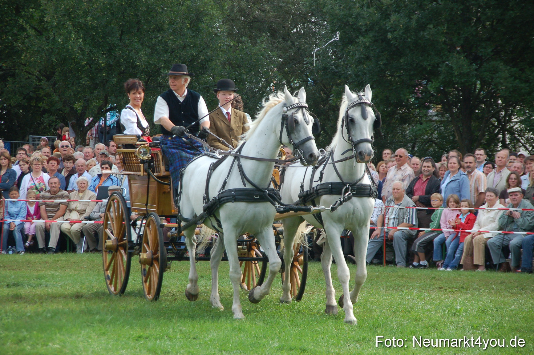 0311 Pferde Fohlenschau 200807