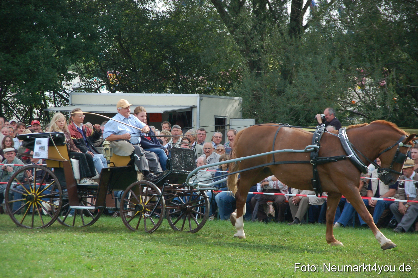 0313 Pferde Fohlenschau 200807