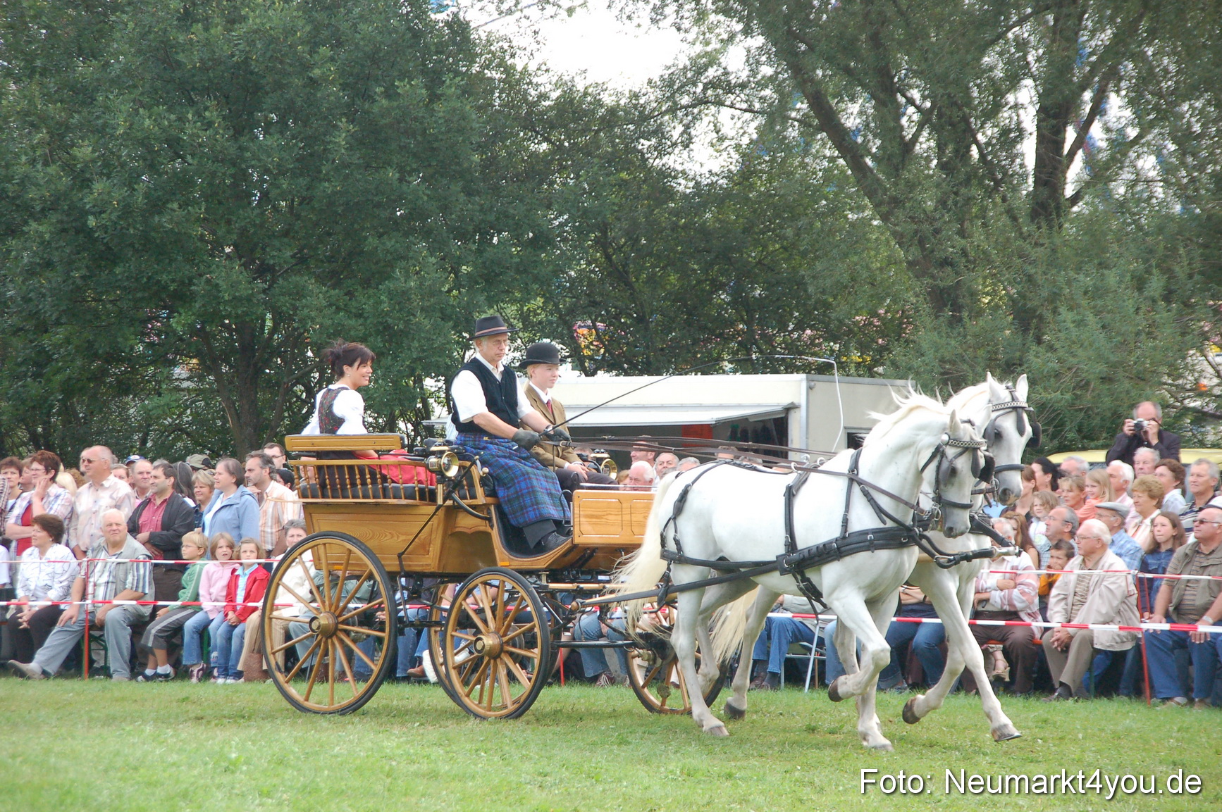 0316 Pferde Fohlenschau 200807
