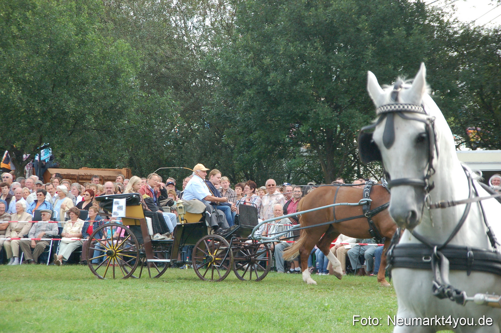 0317 Pferde Fohlenschau 200807