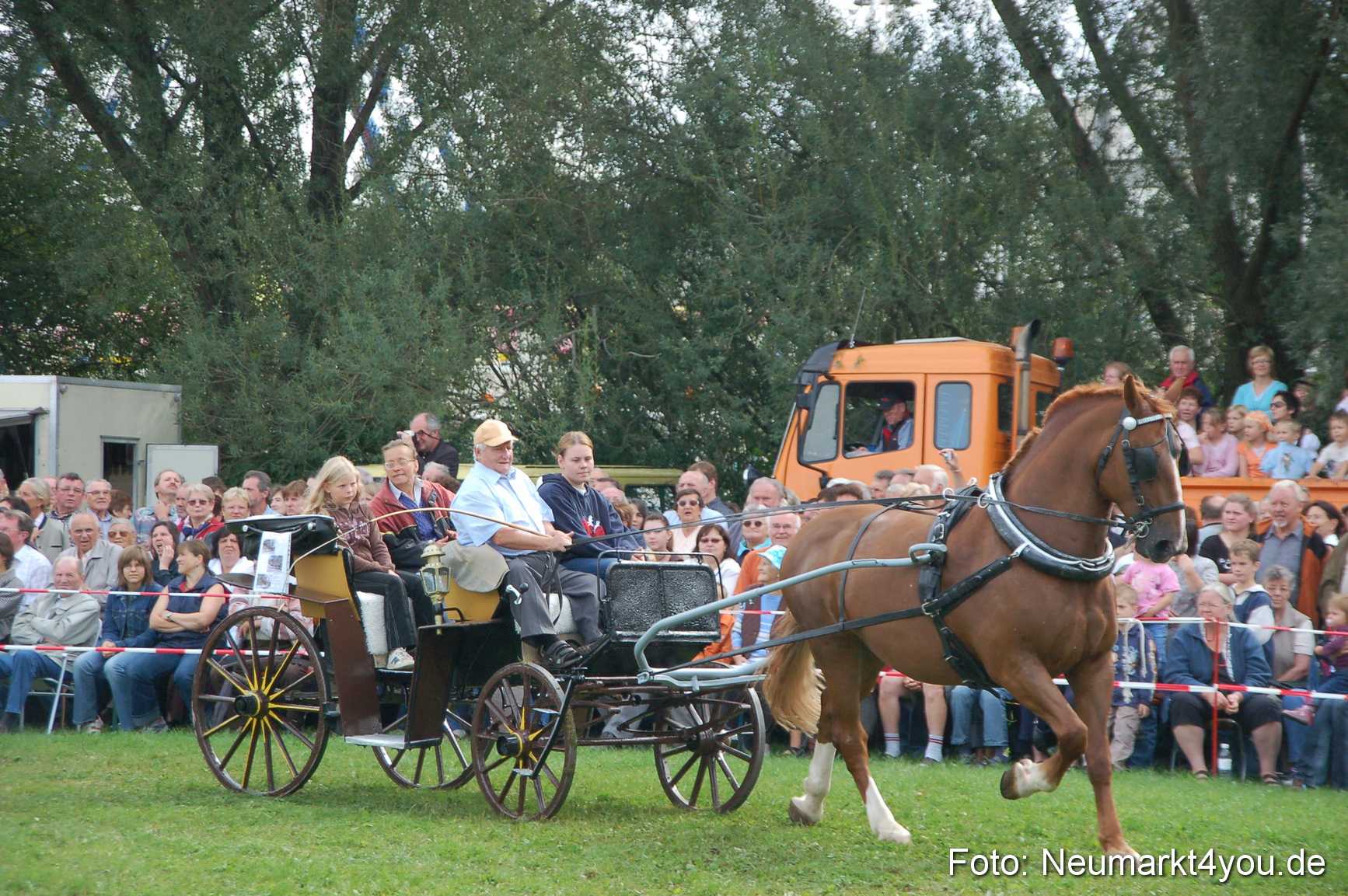 0318 Pferde Fohlenschau 200807