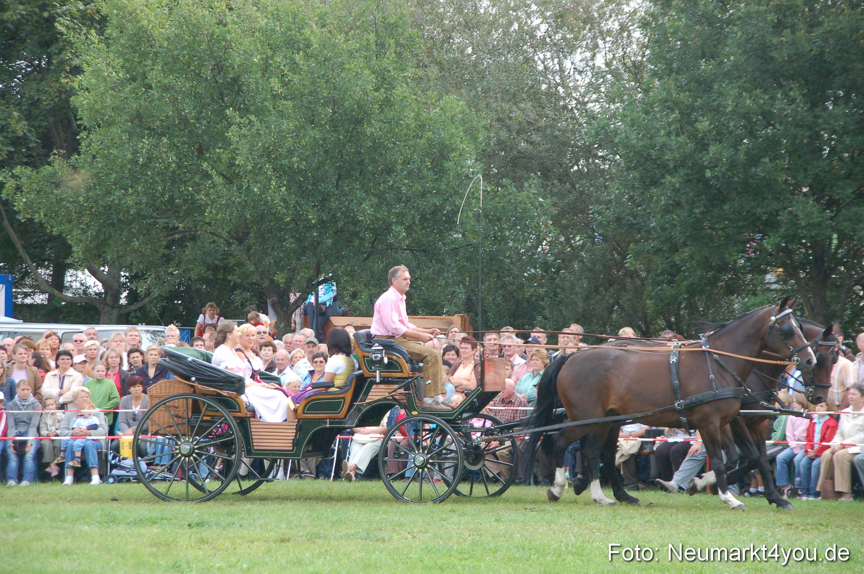 0319 Pferde Fohlenschau 200807