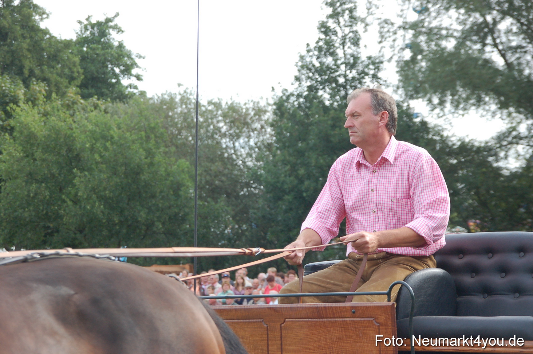 0323 Pferde Fohlenschau 200807