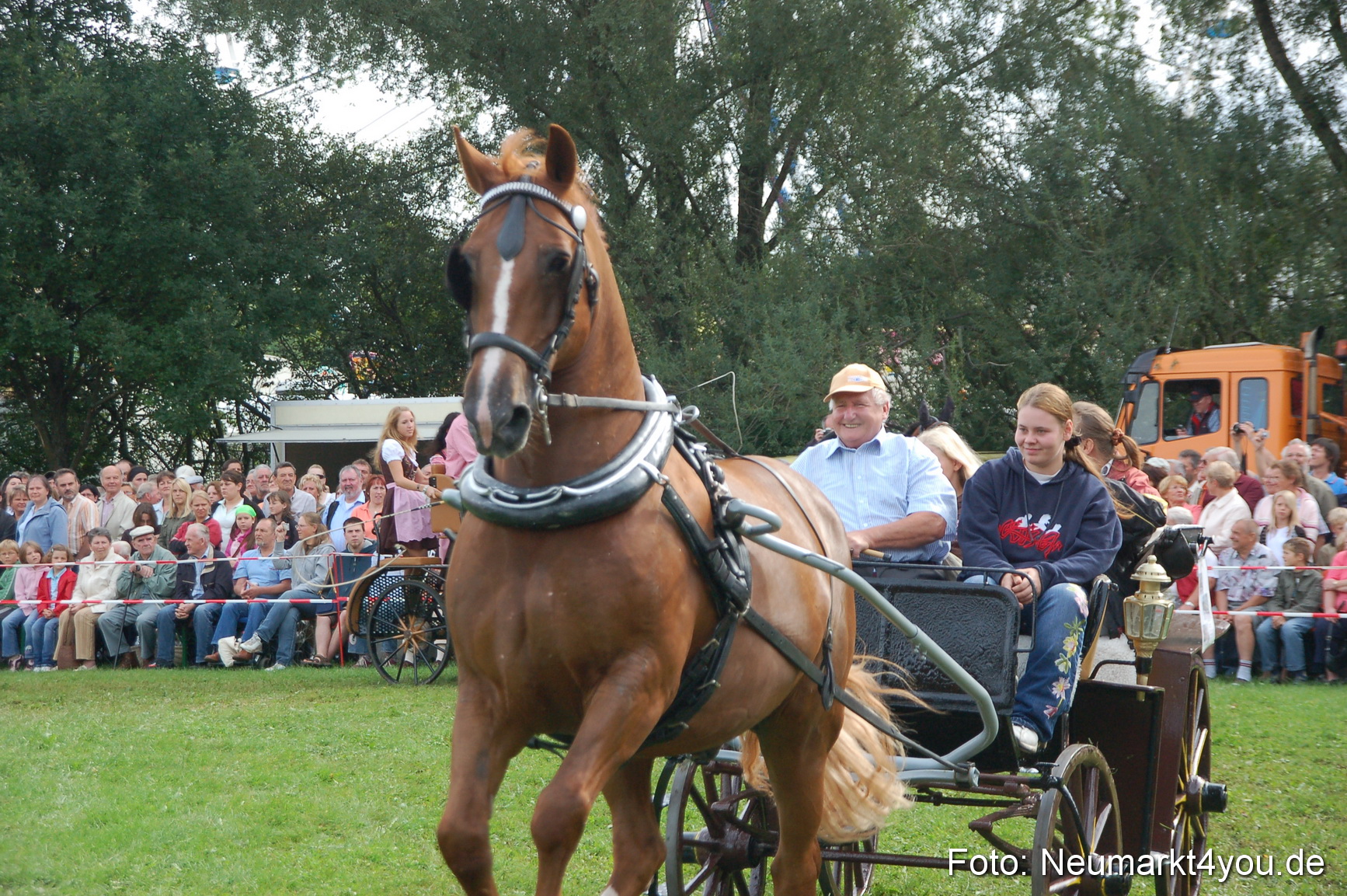 0324 Pferde Fohlenschau 200807