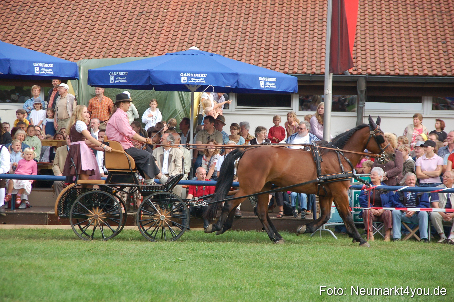 0328 Pferde Fohlenschau 200807