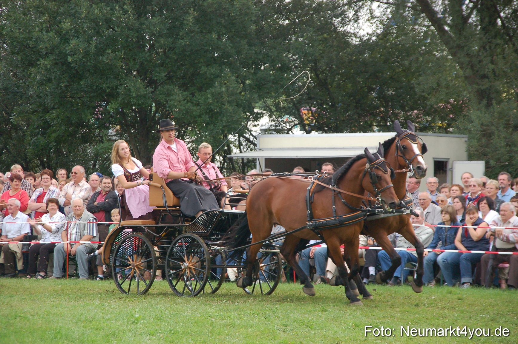 0332 Pferde Fohlenschau 200807
