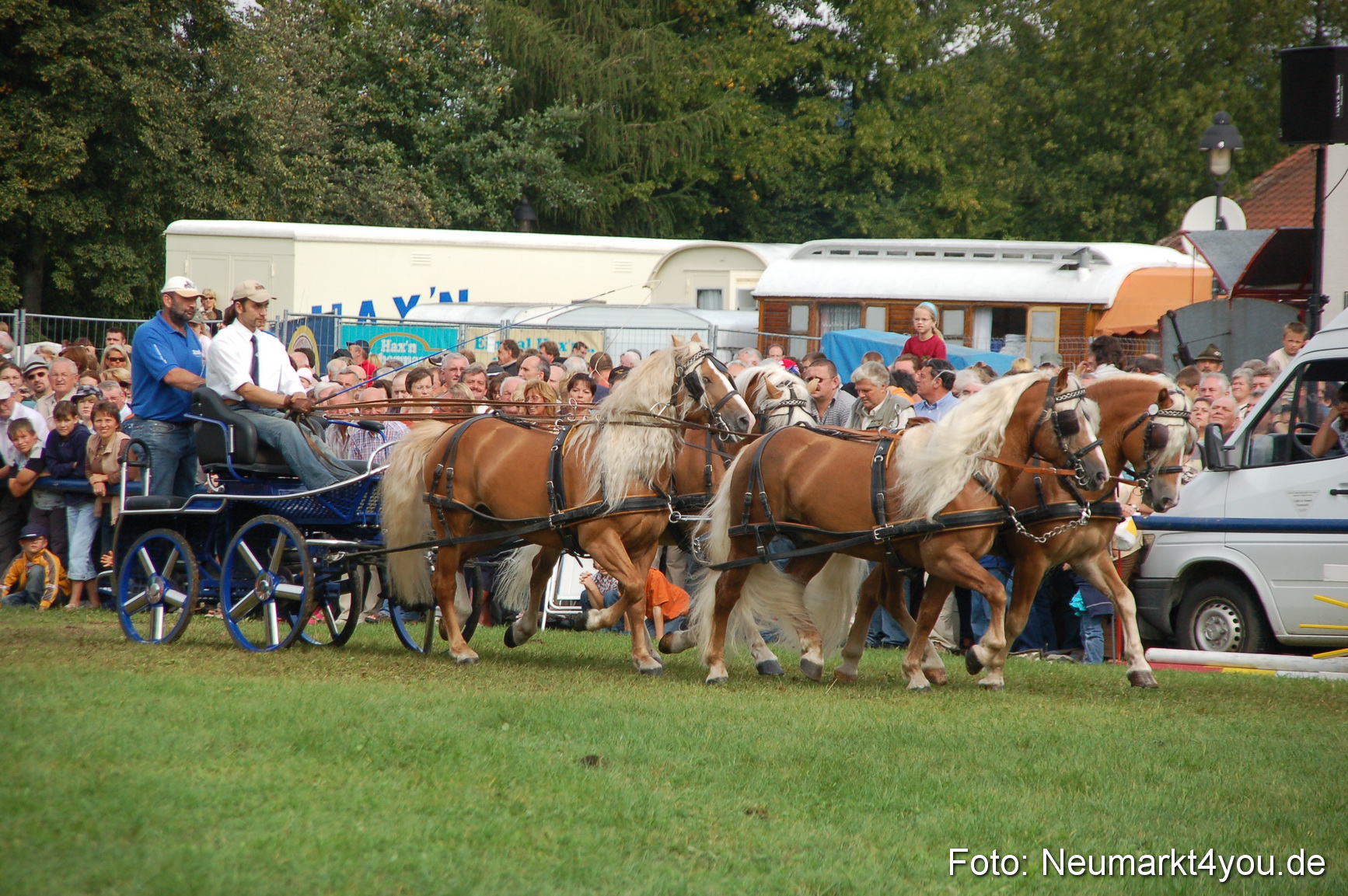 0336 Pferde Fohlenschau 200807